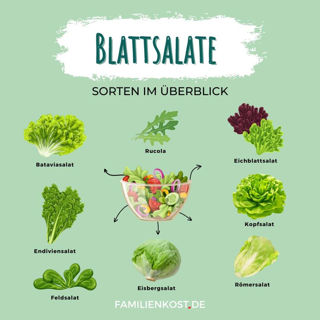 Blattsalate - Sorten im Überblick