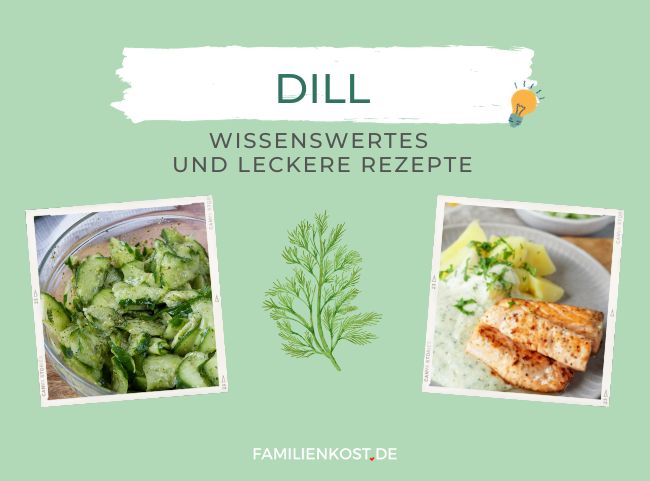 Dill - Gesundheitscheck & Rezepte