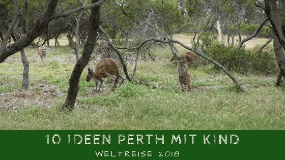 10 (Geldbeutel freundliche) Ideen für Perth mit Kind