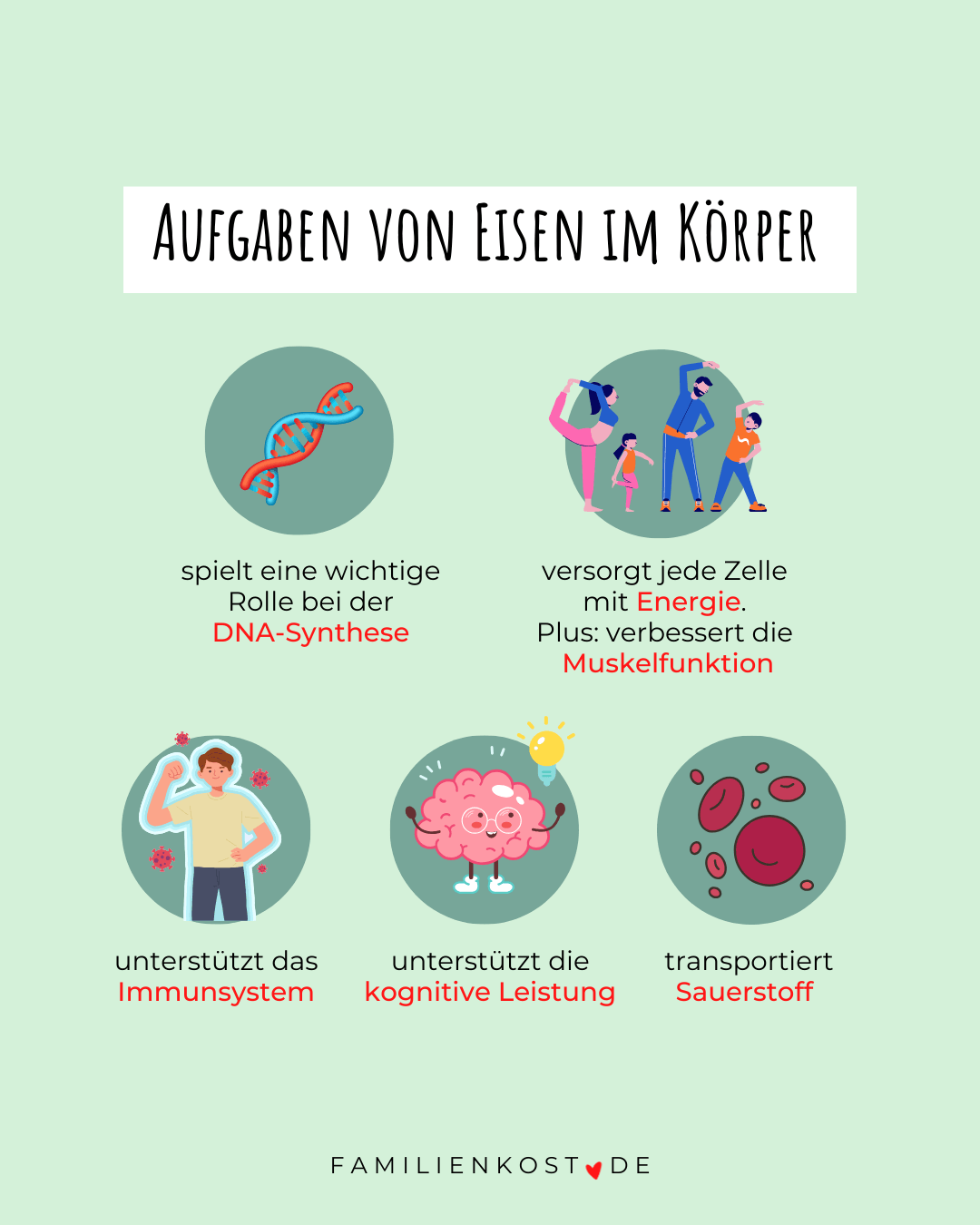 Aufgaben von Eisen im Körper