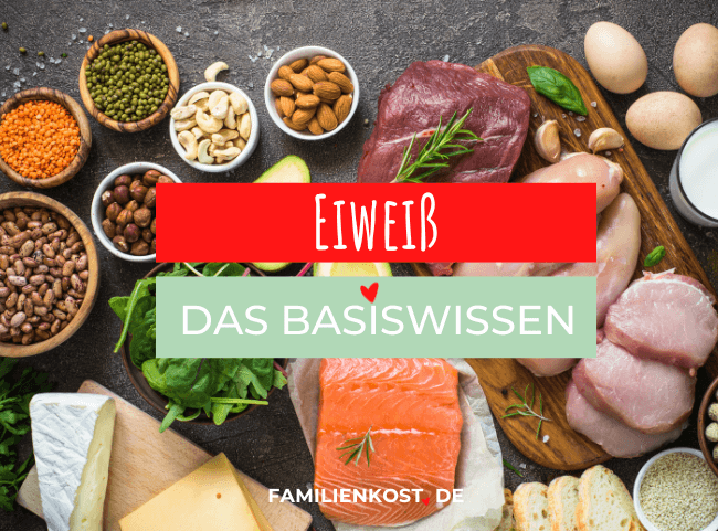 Eiweiß: Der Baustein des Körpers