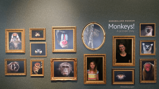 Brisbane Queensland Museum Monkey Brisbane Queensland Museum Monkey