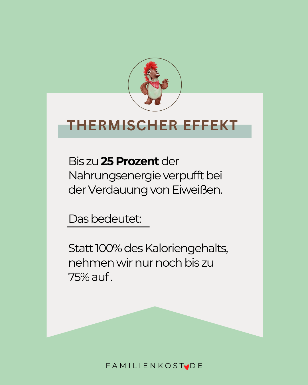 Thermischer Effekt von Proteinen Thermischer Effekt von Proteinen