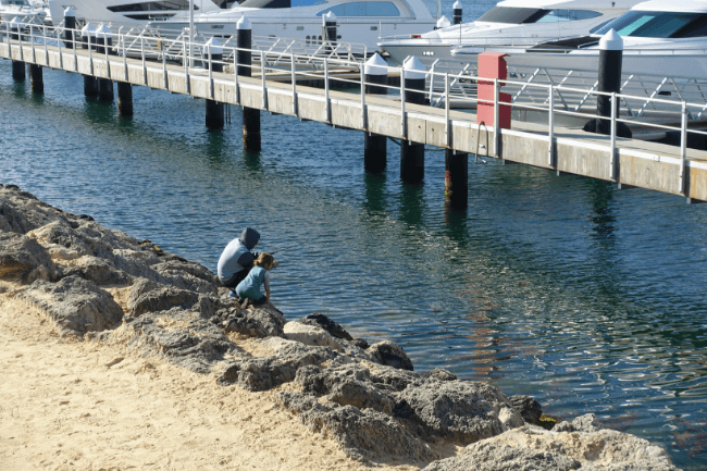 Fishing in Perth