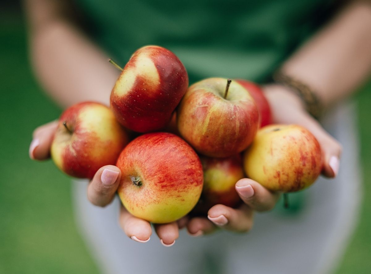 Warum der Apfel der perfekte Kindersnack ist Warum der Apfel der perfekte Kindersnack ist