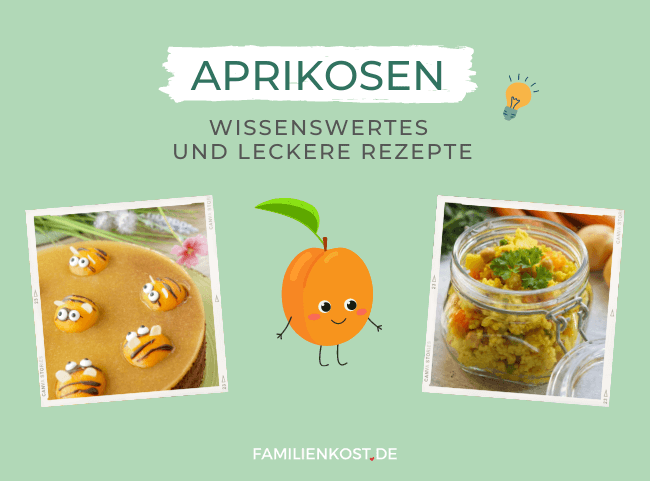 Aprikose - kleine Frucht mit geballter Superpower