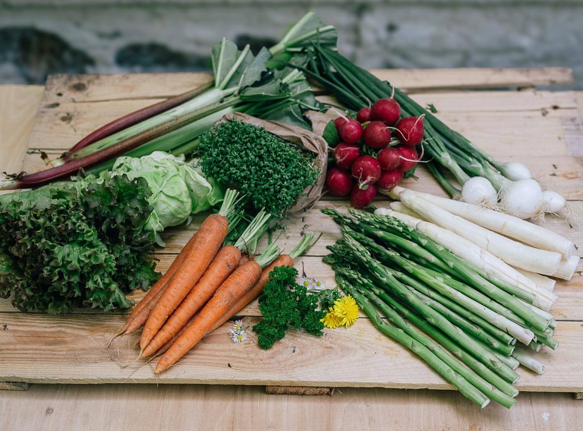 Saisonkalender April mit Rezepten