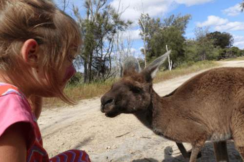 Australien Perth Weltreise Kind Australien Perth Weltreise Kind