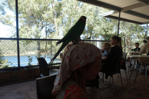 Australien Perth Weltreise Kinder Australien Perth Weltreise Kinder