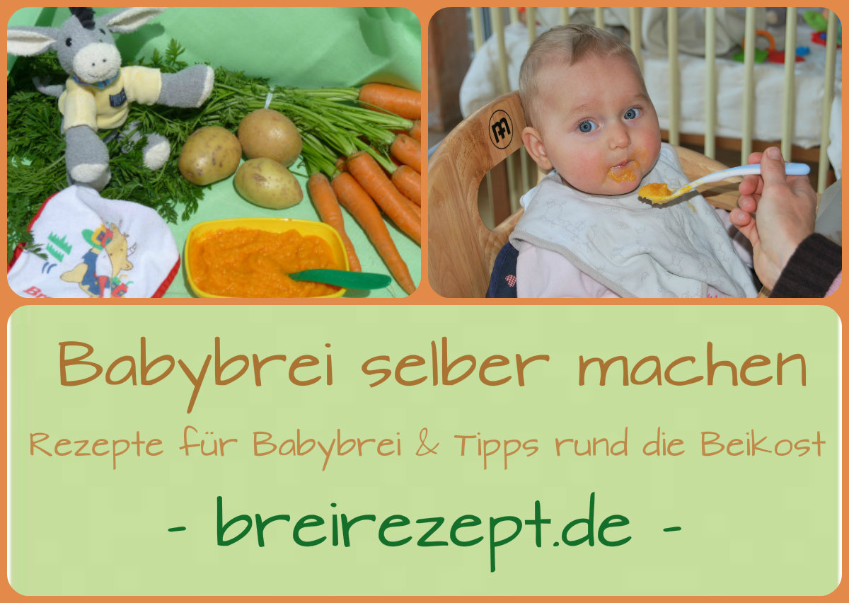 Babybrei selber machen