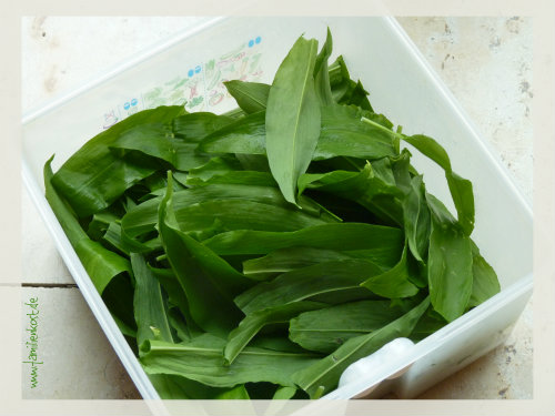 Bärlauchbutter selbstgemacht mit Thermomix zum Einfrieren
