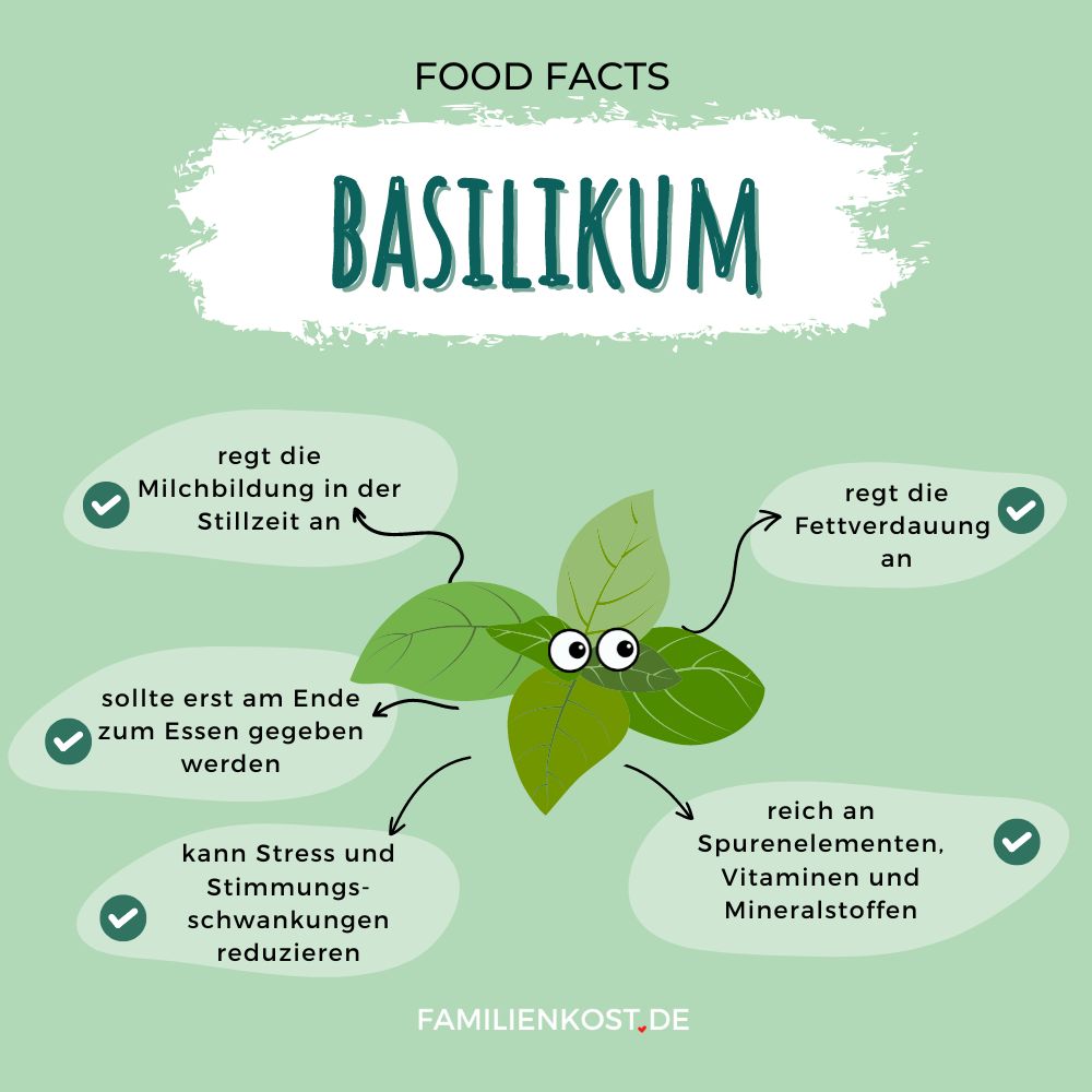 Basilikum gesund Basilikum gesund