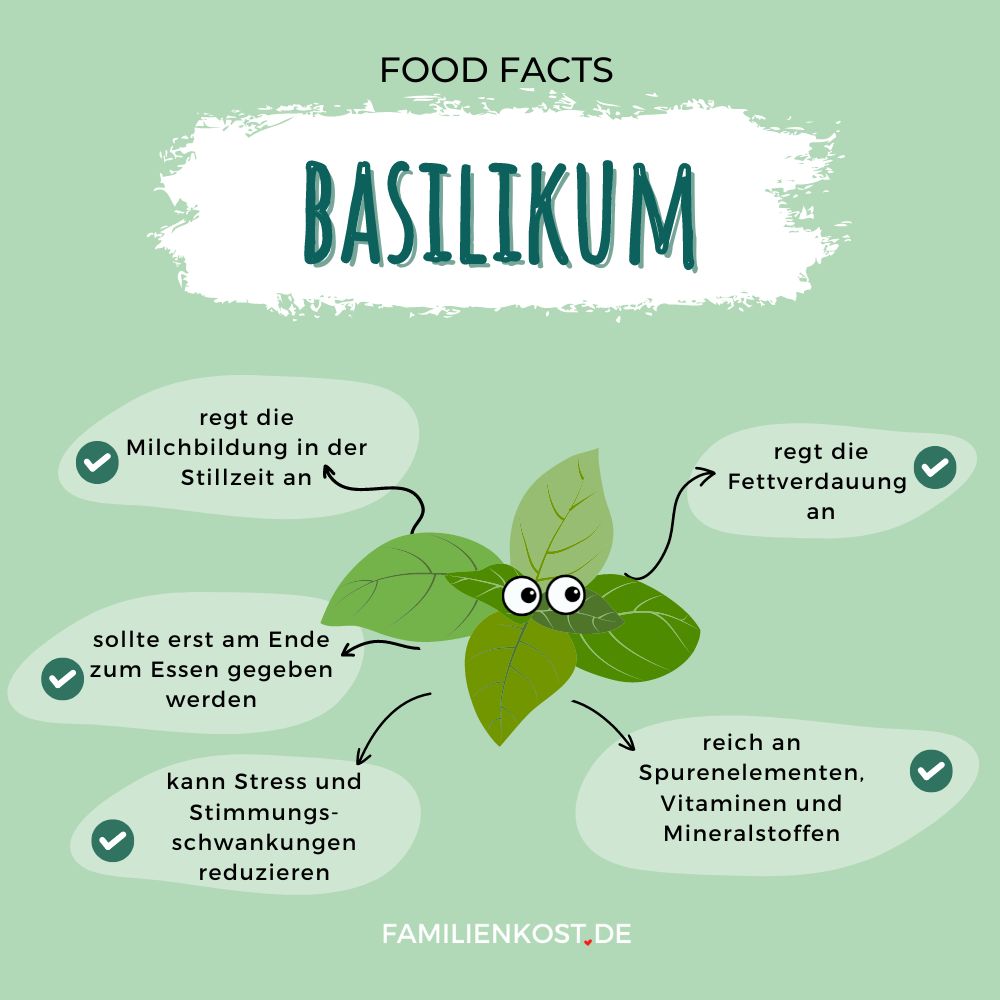 Basilikum gesund