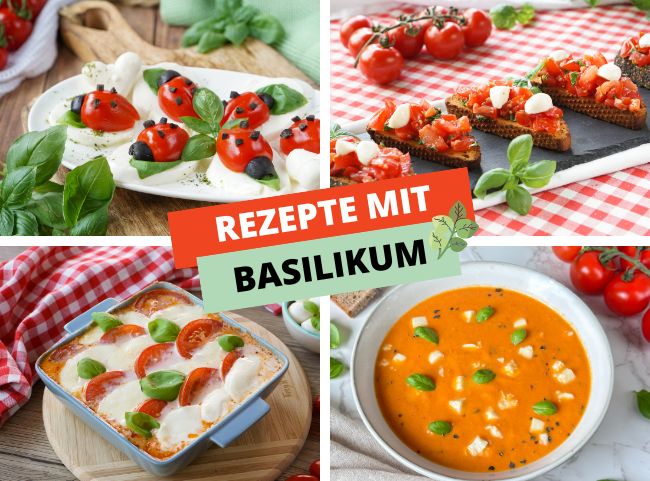 Basilikum Rezepte