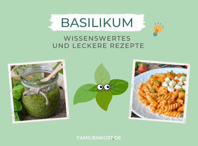 Basilikum - leckeres Kraut für die heimische Küche