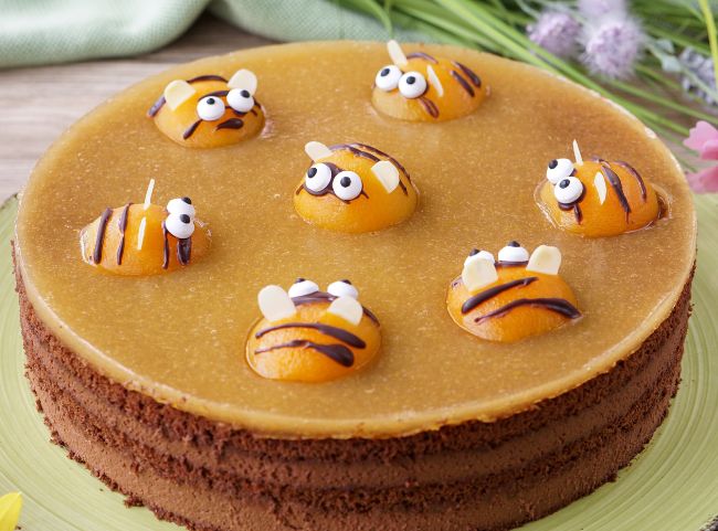 Bienenkuchen Bienenkuchen