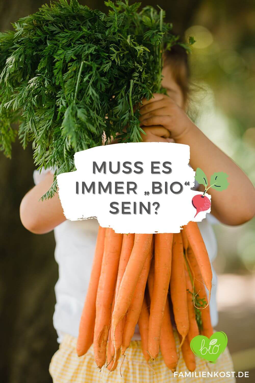 Aprikosen Rezepte Bio Familie