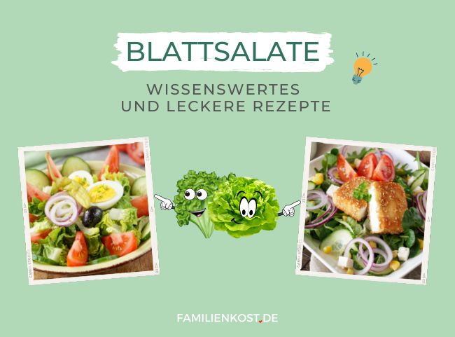 Blattsalate: Überblick & Wissenswertes zum Salat