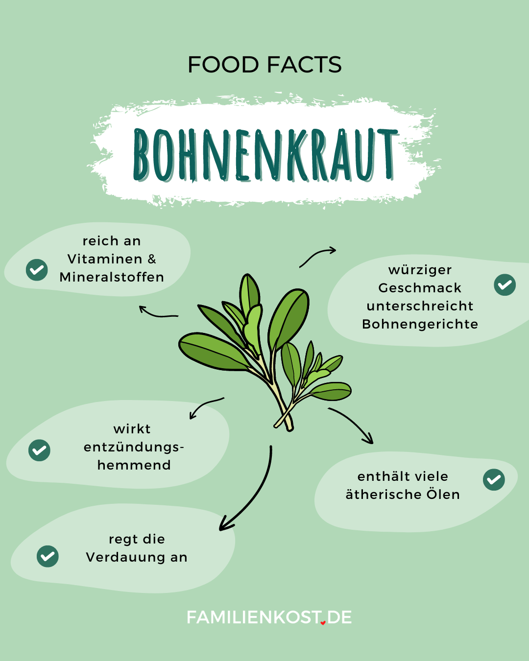 Bohnenkraut gesund