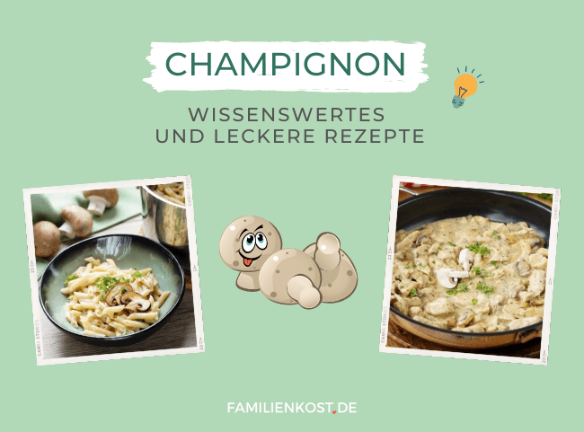 Champignons für Kinder