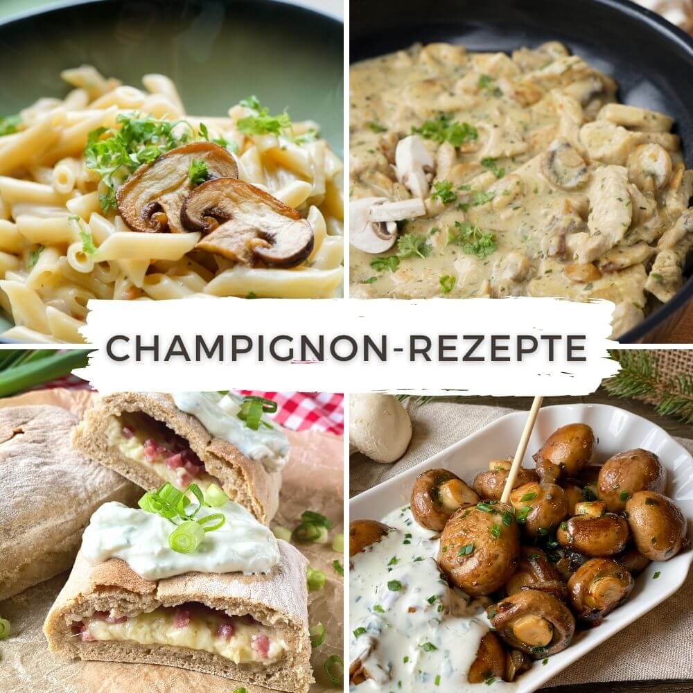 Champignon Rezepte Champignon Rezepte