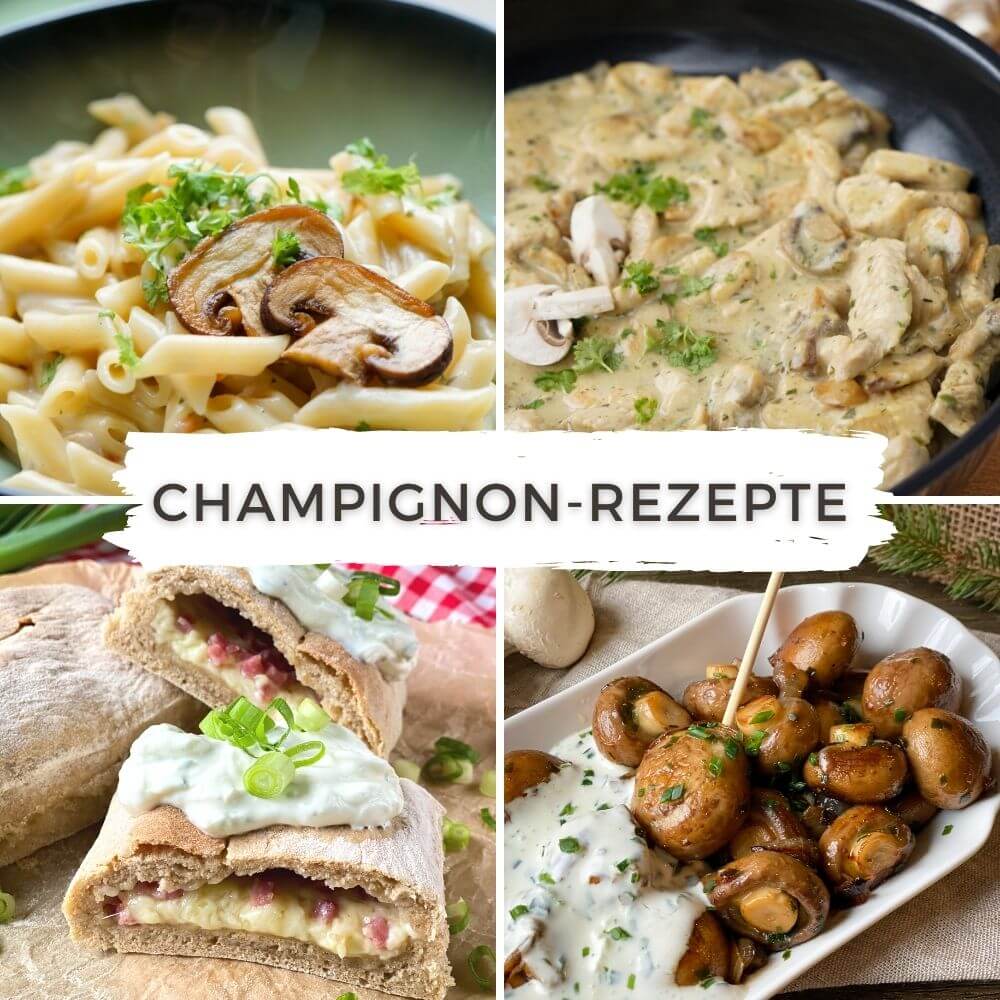 Champignon Rezepte