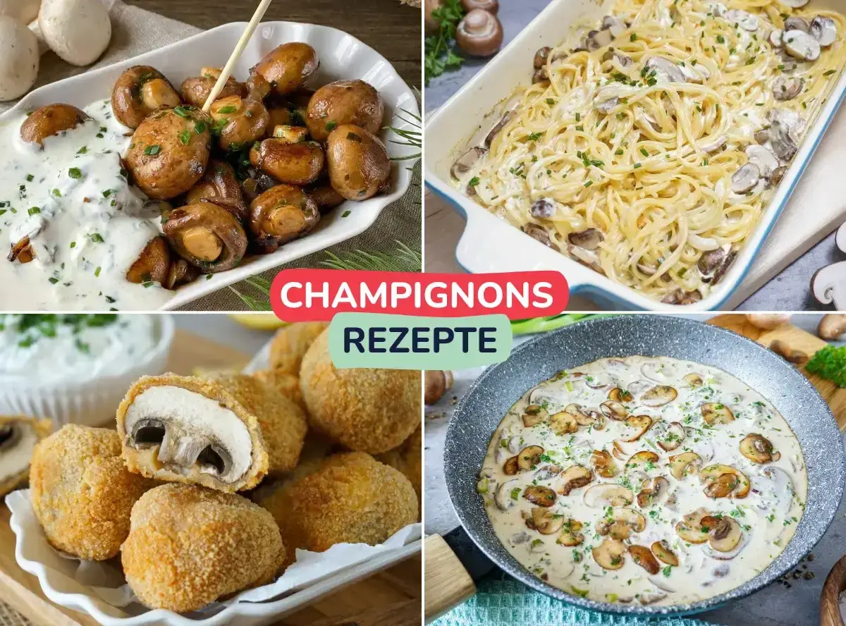 Champignons Rezepte