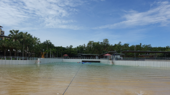 Darwin corocdile safe pool Darwin corocdile safe pool