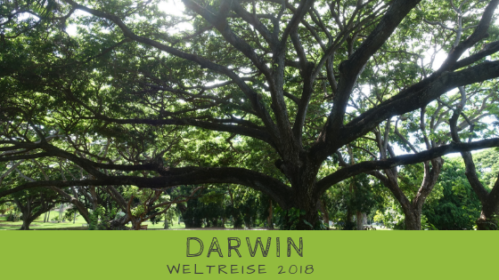 Darwin auf eigene Faust - Erfahrungen Darwin auf eigene Faust - Erfahrungen