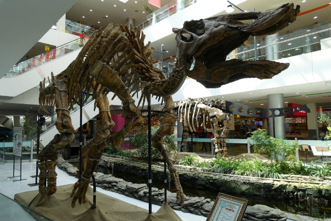Dino Einkauszentrum Ulaanbaatar