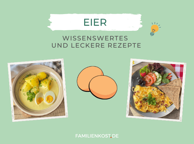 Eier für Kinder: Food Facts und leckere Rezepte