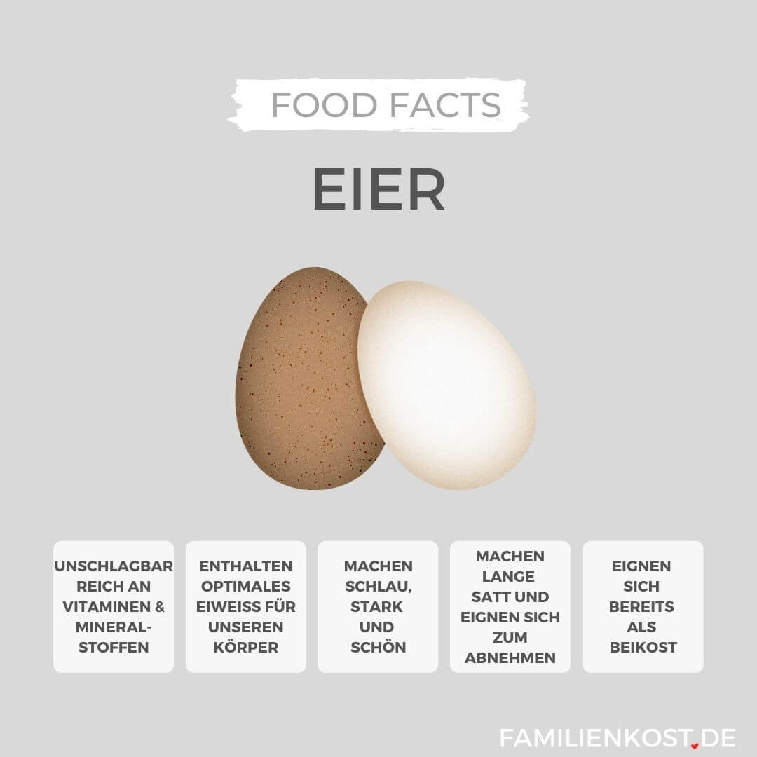 Eier für Kinder Food Facts und leckere Rezepte