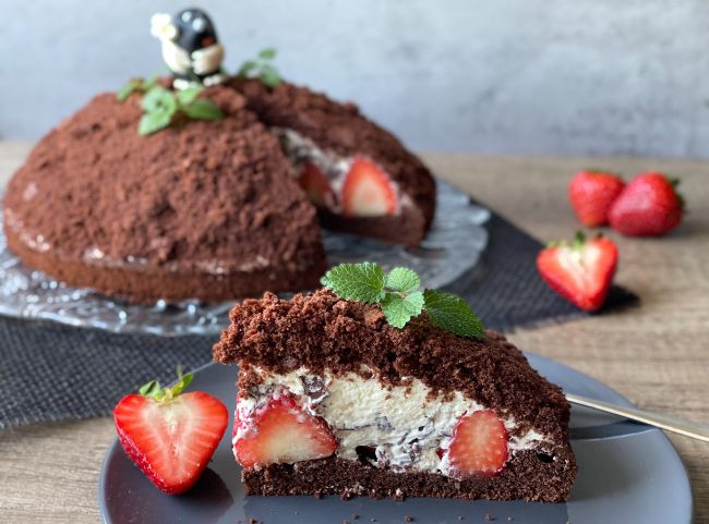 Erdbeer Maulwurfkuchen Erdbeer Maulwurfkuchen