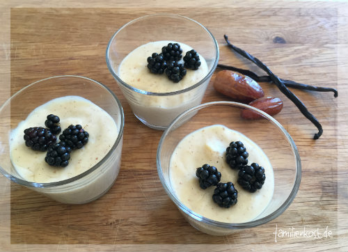 Vanillepudding ohne Zucker aus dem Thermomix