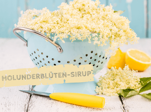 Holunderblütensirup selber machen
