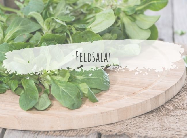 Feldsalat | Darum ist er so gesund