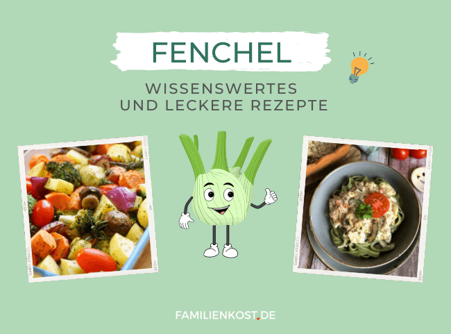 Fenchel: Alles zur tollen Knolle