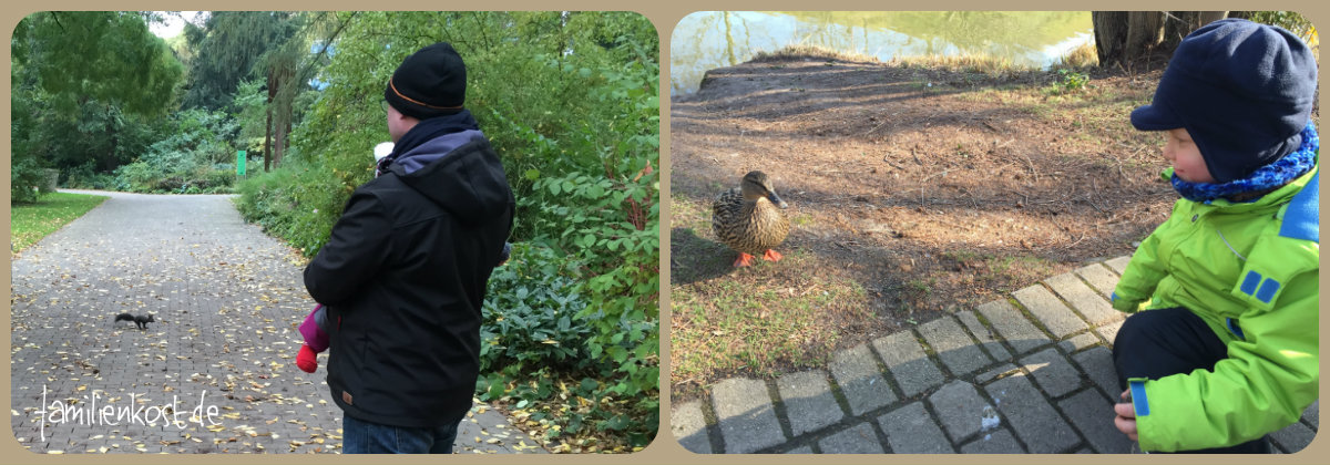 Freilaufende Tiere im Luisenpark Mannheim