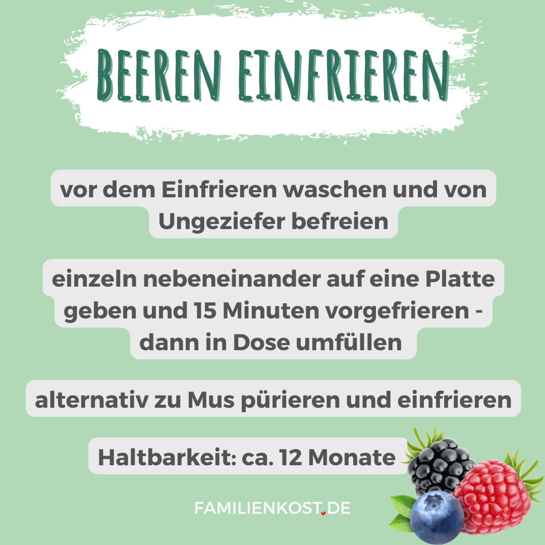 Frische Beeren einfrieren