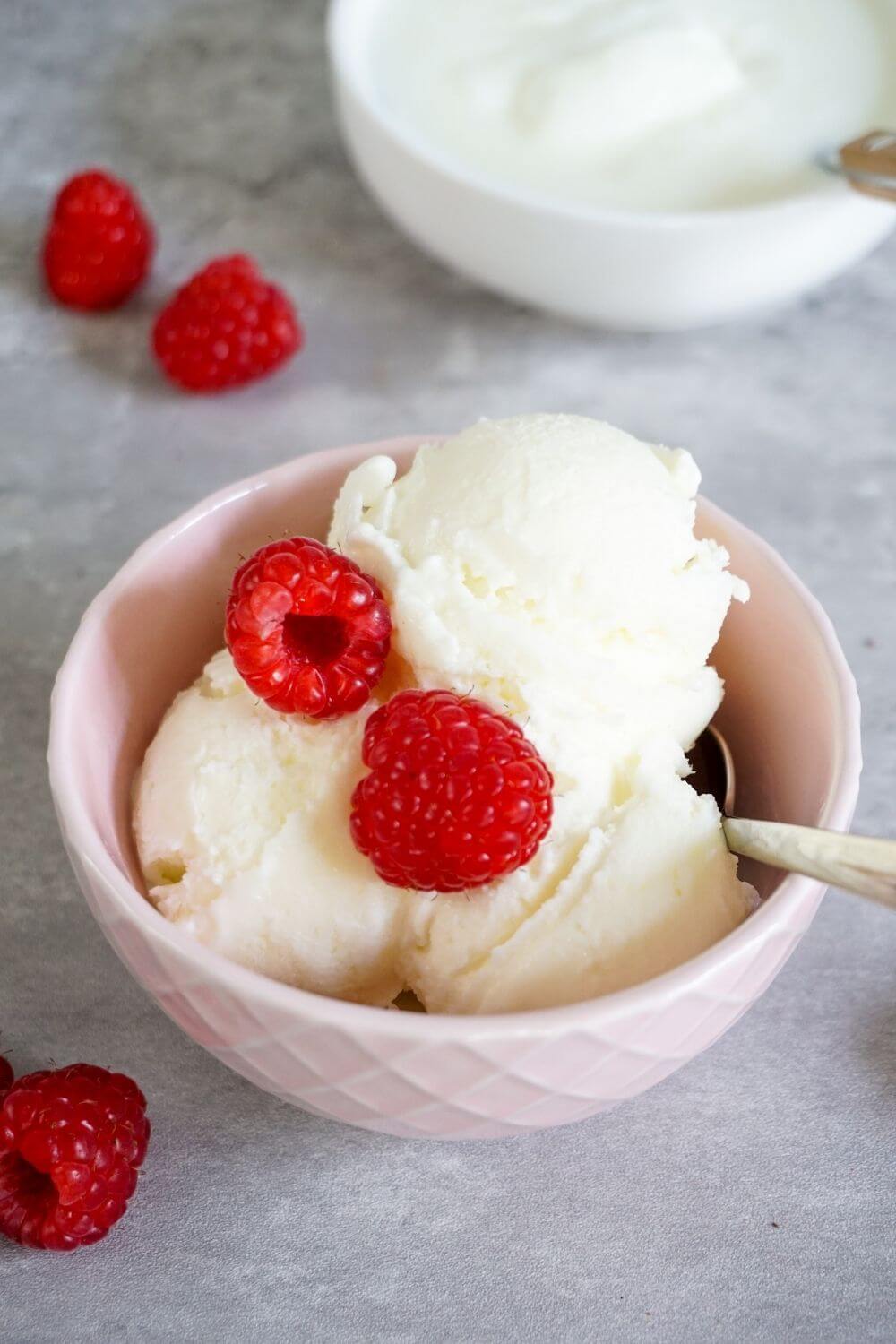 Frozen Joghurt aus der Ninja Creami Frozen Joghurt aus der Ninja Creami