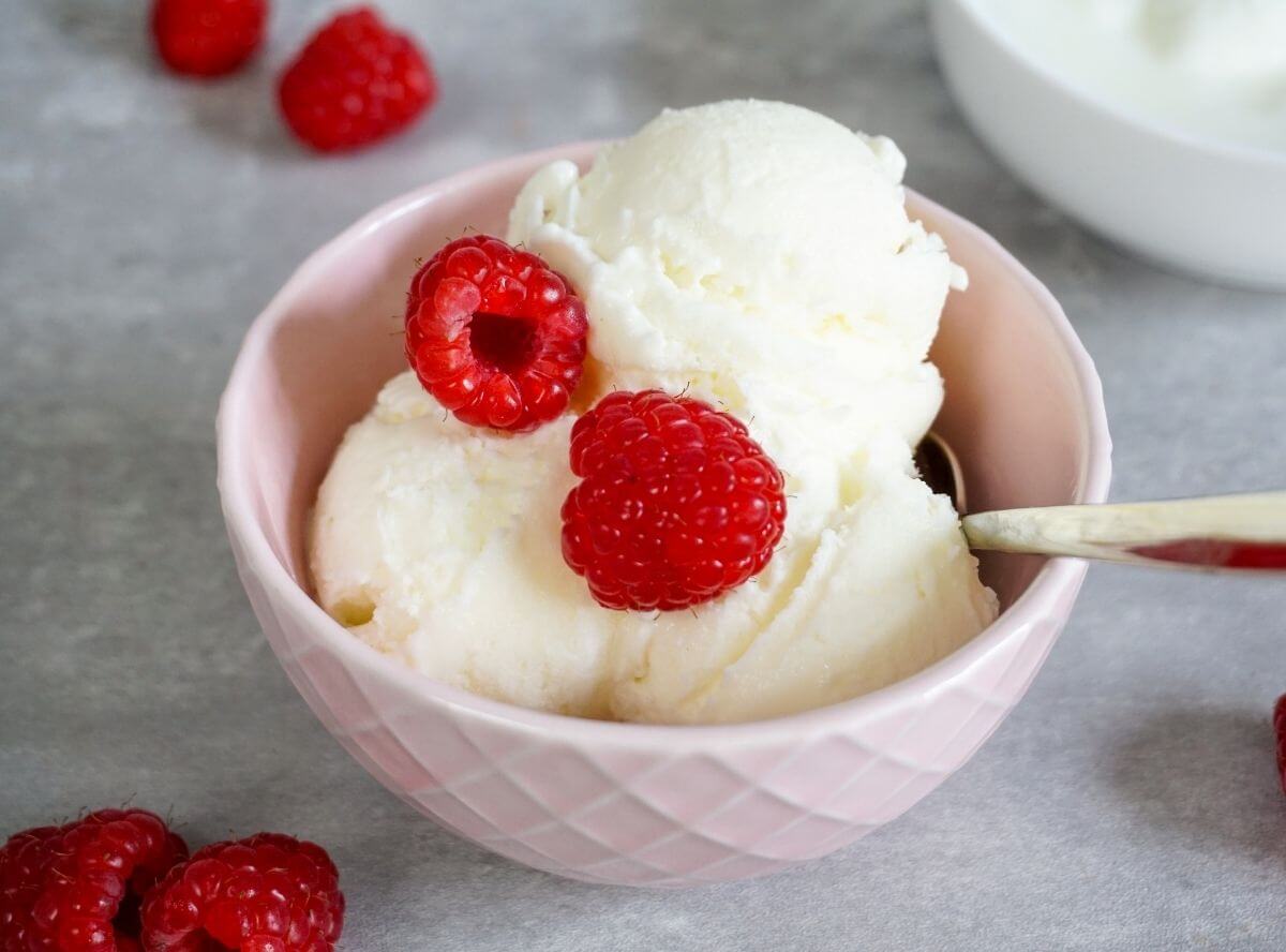 Frozen Joghurt aus der Ninja Creami