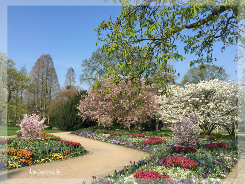 Frühling im Luisenpark Mannheim