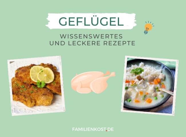 Geflügel | feines Fleisch für die ganze Familie