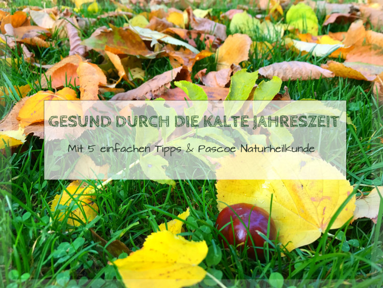 Tipps um gesund durch die kalte Jahreszeit zu kommen mit Pascoe Naturheilkunde Tipps um gesund durch die kalte Jahreszeit zu kommen mit Pascoe Naturheilkunde