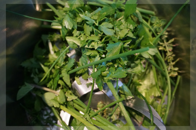 Frankfurter Grüne Sauce Thermomix