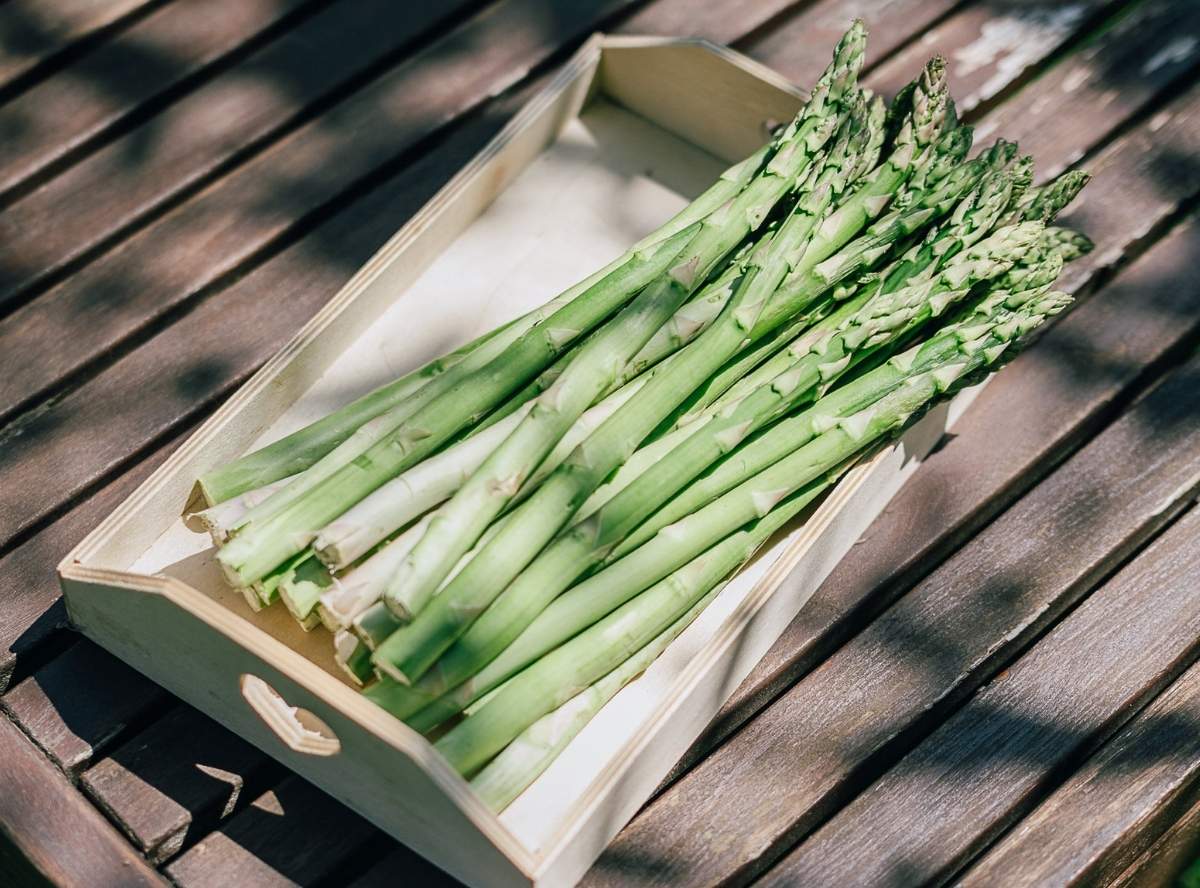 Grüner-Spargel Grüner-Spargel