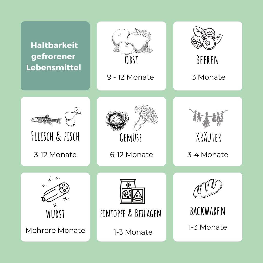 Haltbarkeit gefrorene Lebensmittel Haltbarkeit gefrorene Lebensmittel
