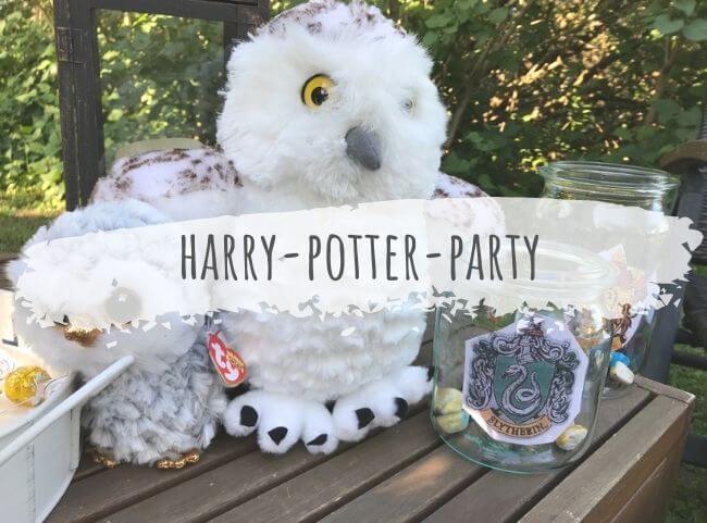 Harry Potter Party