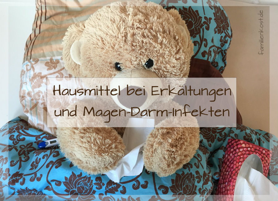 Hausmittel bei Erkältungen und Magen-Darm Infekten Hausmittel bei Erkältungen und Magen-Darm Infekten