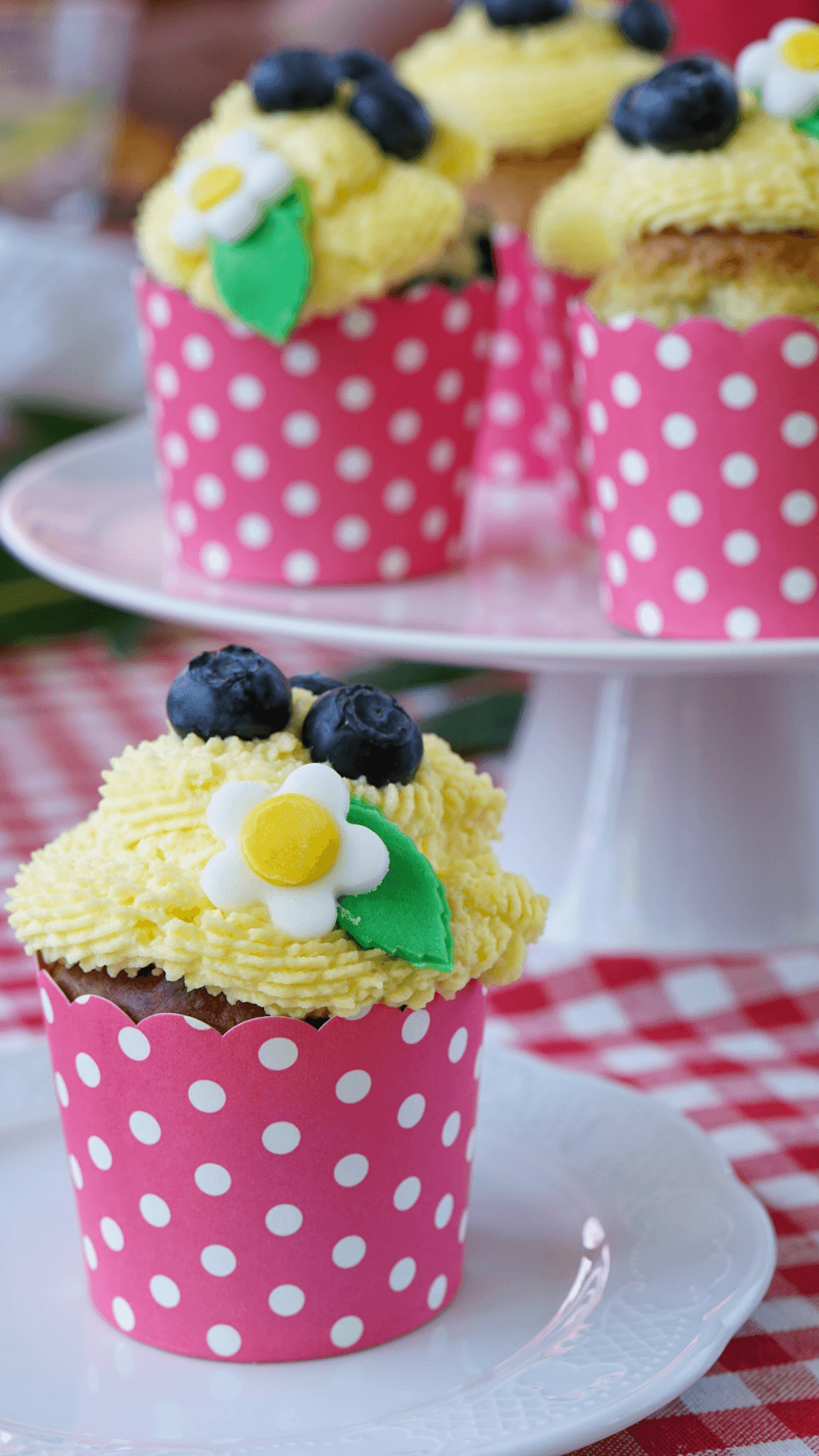 Heidelbeer-Cupcakes Heidelbeer-Cupcakes